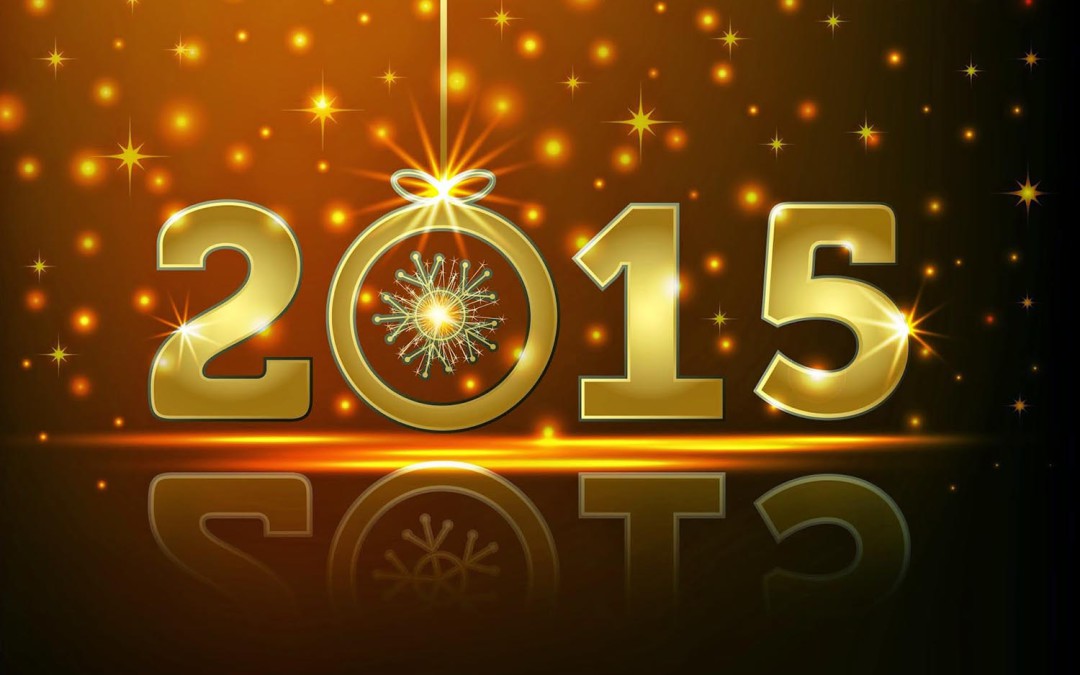 A toutes et à tous : Bonne année 2015 !